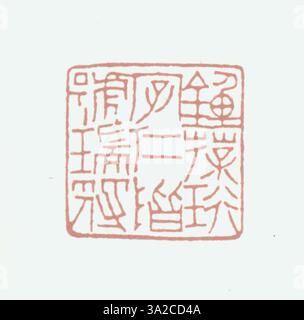 Un sigillo della dinastia Qing intagliato con iscrizioni cinesi semplificate, che mostra l'arte e la precisione tipiche della produzione di sigilli del periodo Qing. Questo sigillo è stato utilizzato per scopi personali e governativi. Foto Stock