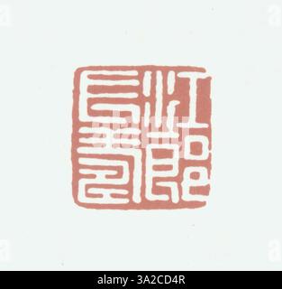 Un sigillo della dinastia Qing intagliato con iscrizioni cinesi semplificate, che illustrano la raffinata maestria artigianale del periodo. Utilizzato sia per la marcatura governativa che personale, questo sigillo esemplifica l'arte dell'era Qing. Foto Stock