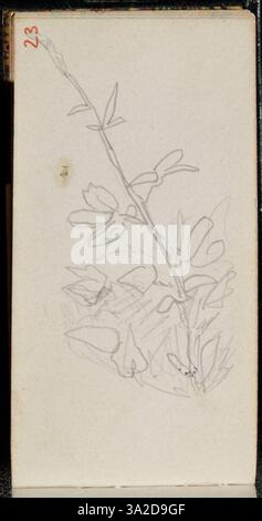 Théodore Chassériau cattura un momento di eleganza con texture delicate e illuminazione spettacolare. La sua attenzione alle sfumature dell'espressione umana e la sua tecnica classica sono evidenti in questo pezzo. Foto Stock