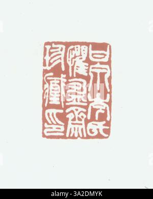 Un sigillo della dinastia Qing con caratteri cinesi semplificati, scolpito con precisione intricata. Sigilli come questi furono usati nella dinastia Qing sia per scopi ufficiali che personali. Foto Stock