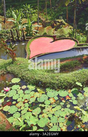 Cuore in un giardino d'acqua nei campi di riso di Tegallalang, Indonesia, Bali, Ubud Foto Stock