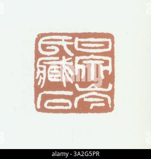 Un sigillo della dinastia Qing con iscrizioni cinesi semplificate, scolpito con dettagli raffinati, tipico dell'abilità artigianale del periodo. Questo sigillo è stato usato sia come marchio governativo che personale. Foto Stock