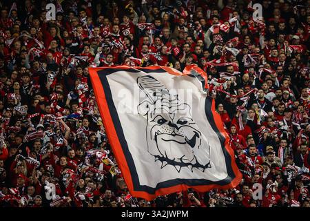 Tifosi di Lille durante la UEFA Champions League, turno 16, partita di calcio di 2a tappa tra Losc Lille e Borussia Dortmund il 12 marzo 2025 allo stadio Pierre Mauroy di Villeneuve-d'Ascq vicino Lille, Francia - Photo Matthieu Mirville/DPPI Credit: DPPI Media/Alamy Live News Foto Stock