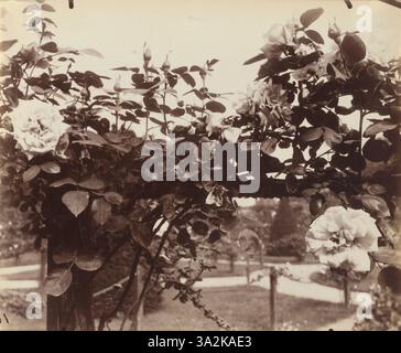 Scattata nel 1921, questa fotografia di Eugène Atget mostra il Château de Bagatelle. Si concentra sull'elegante design del château e sulla lussureggiante vegetazione circostante del Bois de Boulogne. Foto Stock
