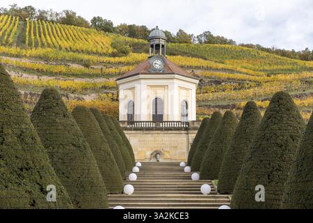 Belvedere del Castello di Wackerbarth con Jacobstein e vigneti di colore autunnale, Radebeul, Sassonia, Germania, Europa Foto Stock