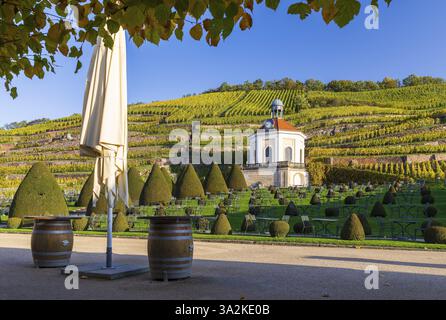 Belvedere nel vigneto, giardini di palazzo Wackerbarth, Radebeul, Sassonia, Germania, Europa Foto Stock