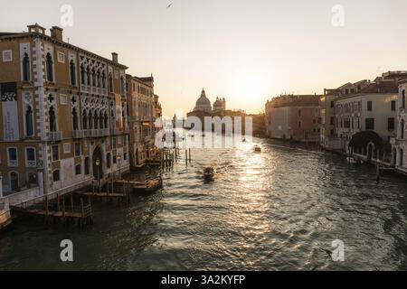 Morgenstimmung bei Sonnenaufgang, Canal grande und die Basilika di Santa Maria della salute, Venedig, Italien Foto Stock