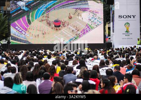 13 giugno 2014 - Colombia - Bogotà, 12 giugno 2014. EN el parque de la 93 se instalo una pantalla gigante para que los bogotanos disfruten de el mundial de Brazil 2014, mas de 400 personas se reunieron para ver la inauguraciÃÂ³n del mundial. Mauricio Leon CrÃÂ©dito: OS FotÃÂ³grafo: Mauricio Leon (immagine di credito: © El Tiempo/GDA/ZUMAPRESS.com) Foto Stock