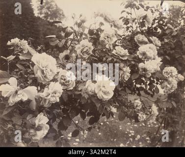 Questa fotografia del 1923-25 di Eugène Atget presenta l'Château de Bagatelle di Parigi, concentrandosi sulla bellezza architettonica del château e dei suoi dintorni nel parco Bois de Boulogne. Foto Stock