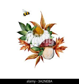 Composizione dei funghi, dei fiori di camomilla, delle foglie verdi e secche e delle bombe. Illustrazione acquerello. Illustrazione disegnata a mano isolata su sfondo bianco. Per carte, tessuti, design Foto Stock