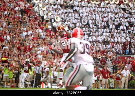13 settembre 2014 - Columbia, SC, USA - South Carolina Gamecocks il tight end Rory Anderson (81) riceve un passaggio per un touchdown nella prima metà della partita dei Gamecocks contro la Georgia al Williams-Brice Stadium, sabato 13 settembre 2014 a Columbia, S.C. (Credit Image: © Gerry Melendez/MCT/ZUMA Wire) Foto Stock