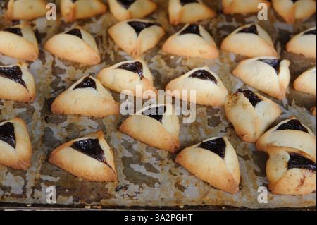 Hamantashen appena sfornato, biscotti triangolari ripieni di cioccolato o marmellata, tradizionalmente consumati dagli ebrei durante la celebrazione di Purim. Foto Stock