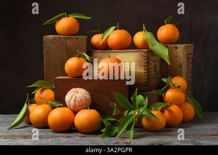 Arance clementine appena raccolte su casse di legno assortite, in un'atmosfera rustica da casa di imballaggio. Foto Stock