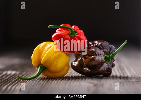 Tre peperoni habanero maturi multicolori (capsicum chinense) su tavola di legno. Peperoni messicani molto caldi. Fotografia gastronomica Foto Stock
