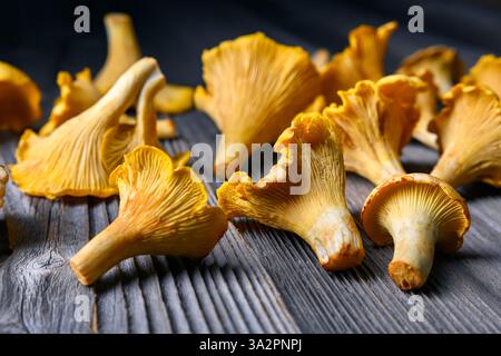 Funghi chanterelle appena raccolti su un tavolo rustico in legno da vicino. Fotografia gastronomica Foto Stock