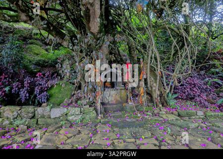 Santuario sul Pekoe Trail, Nuwara Eliya, Sri Lanka Foto Stock