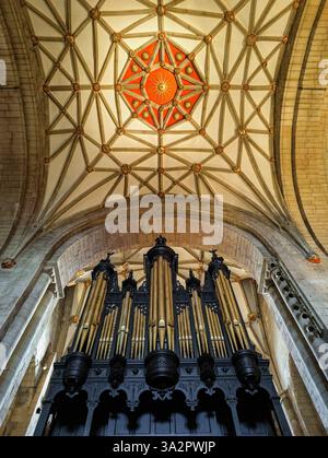Canne d'organo e soffitto a volta decorato, interno dell'abbazia di Tewkesbury, Foto Stock