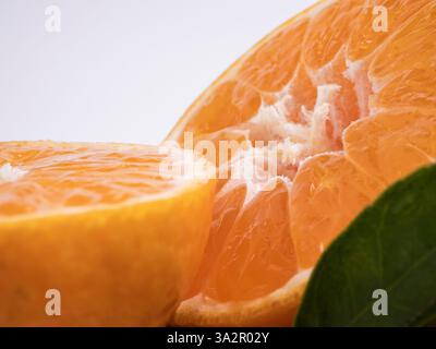 Primo piano di frutti d'arancia su sfondo bianco Foto Stock