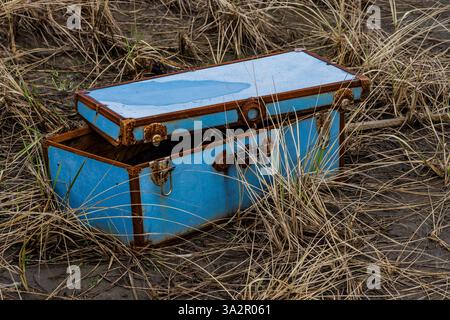 Treasure Chest nell'Ocean City State Park, Washington State, Stati Uniti Foto Stock