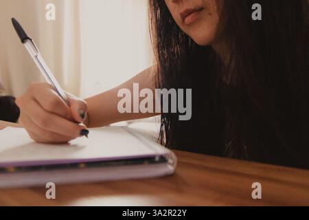 Primo piano di una persona che scrive nel notebook Foto Stock