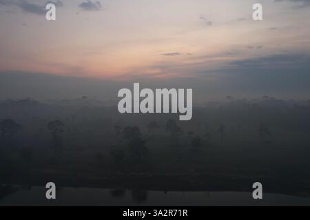 Paesaggio mattutino nebbioso all'alba su una riva del fiume nella regione amazzonica Foto Stock