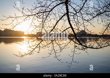 WASHINGTON DC - i boccioli di ciliegio in fiore sono sagomati all'alba lungo il bacino delle maree, con il Jefferson Memorial visibile sullo sfondo. L'apparizione di gemme sugli alberi in fiore, un dono del Giappone nel 1912, segna l'inizio della stagione primaverile che culmina nel National Cherry Blossom Festival. Foto Stock