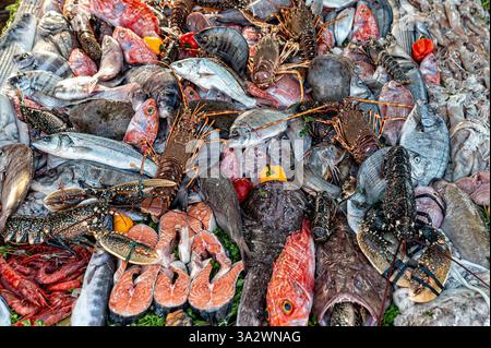 Nel vivace mercato di Essaouira i venditori propongono una varietà di pesce fresco. Foto Stock