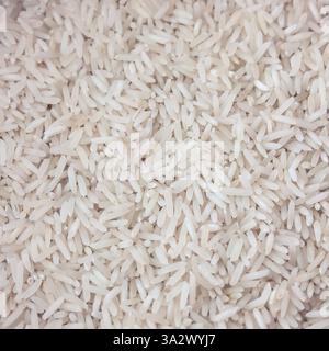Vista ravvicinata di numerosi tipi di riso bianco a grana lunga, creando uno sfondo testurizzato dettagliato ideale per la grafica relativa al cibo Foto Stock