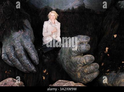 Ottobre 21, 2002 - New York NEW YORK - K46154AR.''KING KONG " NEW YORK PREMIERE CONFERENZA STAMPA.IN TIMES SQUARE a New York City 5-12-2005. ANDREA RENAULT-(Immagine di credito: © Globo foto/ZUMAPRESS.com) Foto Stock