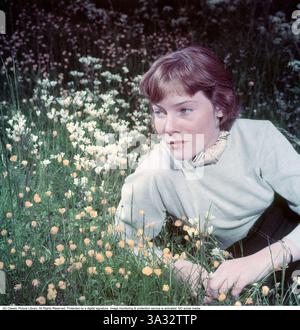 Maggio Britt Wilkens. Attrice svedese-americana. (Nata il 22 marzo 1934) è spesso accreditata con il suo nome May Britt. Qui sull'isola di Ornö nel 1953. May Britt Wilkens, conosciuta professionalmente come May Britt, è un'attrice svedese naturalizzata statunitense nata il 22 marzo 1934 a Stoccolma, Svezia. Ha guadagnato importanza negli anni '1950, iniziando la sua carriera in Italia prima di trasferirsi a Hollywood, dove ha lavorato con la Twentieth Century Fox. Ruoli notevoli includono il protagonista nel remake del 1959 di The Blue Angel. È stata sposata con l'intrattenitore Sammy Davis Jr. Dal 1960 al 1968, un sindacato che ha attirato un notevole attenzione Foto Stock