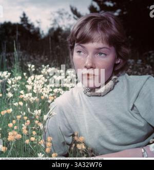 Maggio Britt Wilkens. Attrice svedese-americana. (Nata il 22 marzo 1934) è spesso accreditata con il suo nome May Britt. Qui sull'isola di Ornö nel 1953. May Britt Wilkens, conosciuta professionalmente come May Britt, è un'attrice svedese naturalizzata statunitense nata il 22 marzo 1934 a Stoccolma, Svezia. Ha guadagnato importanza negli anni '1950, iniziando la sua carriera in Italia prima di trasferirsi a Hollywood, dove ha lavorato con la Twentieth Century Fox. Ruoli notevoli includono il protagonista nel remake del 1959 di The Blue Angel. È stata sposata con l'intrattenitore Sammy Davis Jr. Dal 1960 al 1968, un sindacato che ha attirato un notevole attenzione Foto Stock