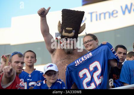 23 agosto 2014 - Orchard Park, New York, U. S - i tifosi dei Buffalo Bills tifo per la squadra da sopra l'ingresso del tunnel dopo la partita contro i Tampa Bay Buccaneers al Ralph Wilson Stadium di Orchard Park, New York. Tampa Bay sconfisse Buffalo 27-14. (Immagine di credito: © Michael Johnson/ZUMA Wire) Foto Stock