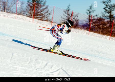 donna sciatrice in discesa, pista coperta da neve, segnata durante lo sci alpino agonistico Foto Stock