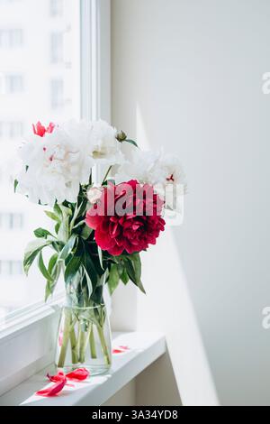 Peonie fresche di vari colori visualizzate in un vaso trasparente su davanzale bianco, esaltate dalla luce naturale che filtra attraverso una finestra. Foto Stock