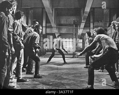 26 giugno 2014 - George Chakiris (centro-sfondo), Russ Tamblyn (centro-primo piano), Fight Scene, sul set del film, ''West Side Story'', 1961 (Credit Image: © Glasshouse/ZUMA Wire) Foto Stock