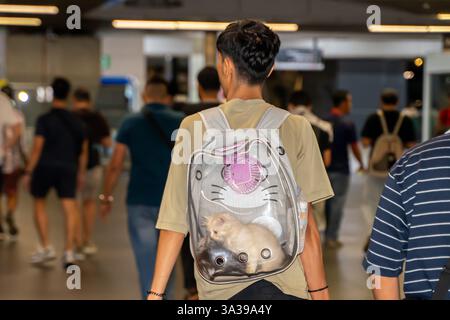 una persona che indossa uno zaino per il trasporto di animali domestici progettato per trasportare un gatto. Lo zaino è trasparente, consentendo di vedere il gatto all'interno Foto Stock