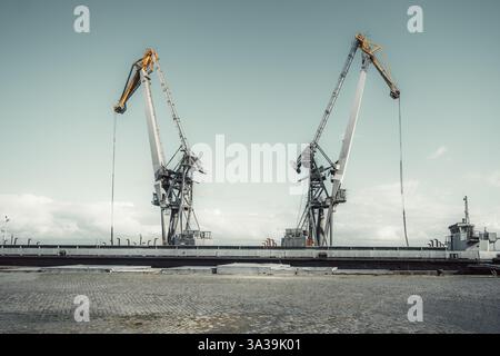 Due grandi gru portuali industriali con bracci gialli e grigi si trovano simmetricamente contro un cielo nuvoloso in un molo di spedizione. Il primo piano è dotato di un co Foto Stock