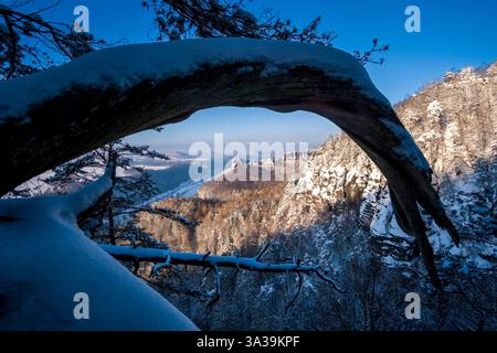 Paesaggio invernale innevato nel Parco Nazionale della Svizzera sassone, visto attraverso un pino contorto e storto. Bad Schandau Sassonia Germania FB 20 Foto Stock
