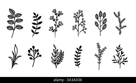 Una collezione di dieci illustrazioni botaniche disegnate a mano con vari disegni di foglie e rami. Illustrazione Vettoriale