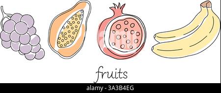 Illustrazione colorata di vari frutti tra cui uva, papaya, melograno e banane Illustrazione Vettoriale
