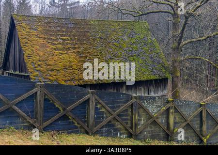 Vecchio edificio con muschio sul tetto vicino alla foresta autunnale Foto Stock