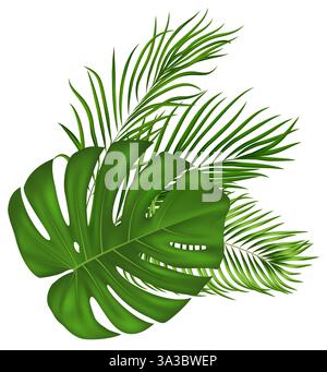 Collezione di foglie del paradiso tropicale. Per design ecologici, decorazioni per feste, materiali di marketing estivi. Illustrazione vettoriale Illustrazione Vettoriale
