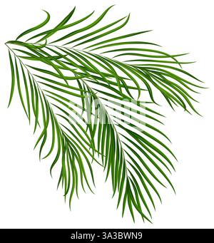 Realistiche foglie di palma tropicali verdi. Elementi di design esotici con vegetazione tropicale della giungla per tessera estiva, invito, banner, poster. Illustrazione vettoriale Illustrazione Vettoriale