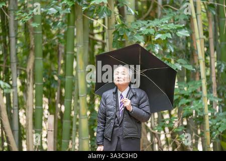 Una foresta di bambù in un giorno di pioggia in Giappone, con abbondanza di vegetazione in primavera. Un uomo giapponese alla fine degli anni '70 è in piedi con un vestito e una piumino. Lui Foto Stock