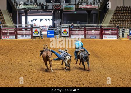 Lotta da uomo o toro all'evento PRCA Rodeo Slack di Montgomery, Alabama, Stati Uniti. Foto Stock