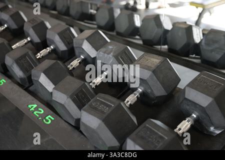 Diversi manubri in palestra. Attrezzatura sportiva Foto Stock