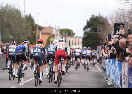 Cartoceto, Italia. 15 marzo 2025. Il branco cavalca durante la 60° Tirreno - Adriatico 2025, tappa 6 da Cartoceto a Frontignano (Ussita) - il 15 marzo 2025 a Cartoceto, Marche, Italia. (Foto di massimo Paolone/LaPresse) credito: LaPresse/Alamy Live News Foto Stock