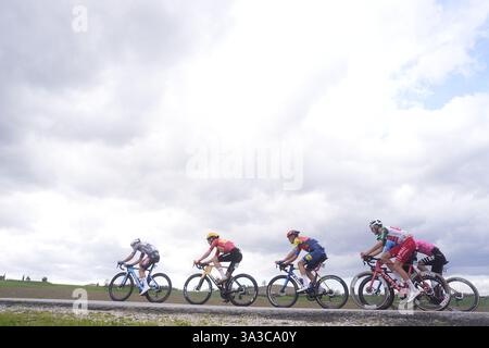 Cartoceto, Italia. 15 marzo 2025. Il branco cavalca durante la 60° Tirreno - Adriatico 2025, tappa 6 da Cartoceto a Frontignano (Ussita) - il 15 marzo 2025 a Cartoceto, Marche, Italia. (Foto di Fabio Ferrari/LaPresse) credito: LaPresse/Alamy Live News Foto Stock