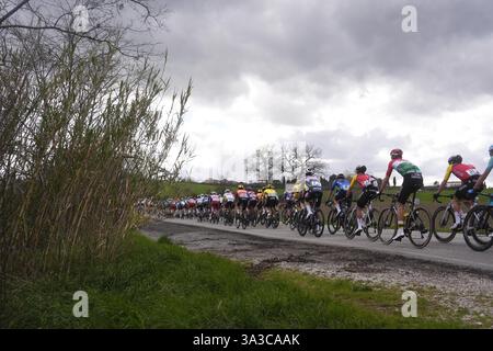 Cartoceto, Italia. 15 marzo 2025. Il branco cavalca durante la 60° Tirreno - Adriatico 2025, tappa 6 da Cartoceto a Frontignano (Ussita) - il 15 marzo 2025 a Cartoceto, Marche, Italia. (Foto di Fabio Ferrari/LaPresse) credito: LaPresse/Alamy Live News Foto Stock