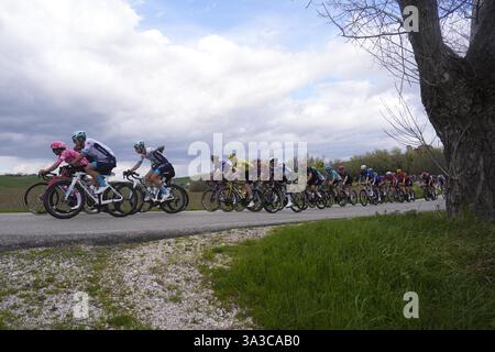 Cartoceto, Italia. 15 marzo 2025. Il branco cavalca durante la 60° Tirreno - Adriatico 2025, tappa 6 da Cartoceto a Frontignano (Ussita) - il 15 marzo 2025 a Cartoceto, Marche, Italia. (Foto di Fabio Ferrari/LaPresse) credito: LaPresse/Alamy Live News Foto Stock